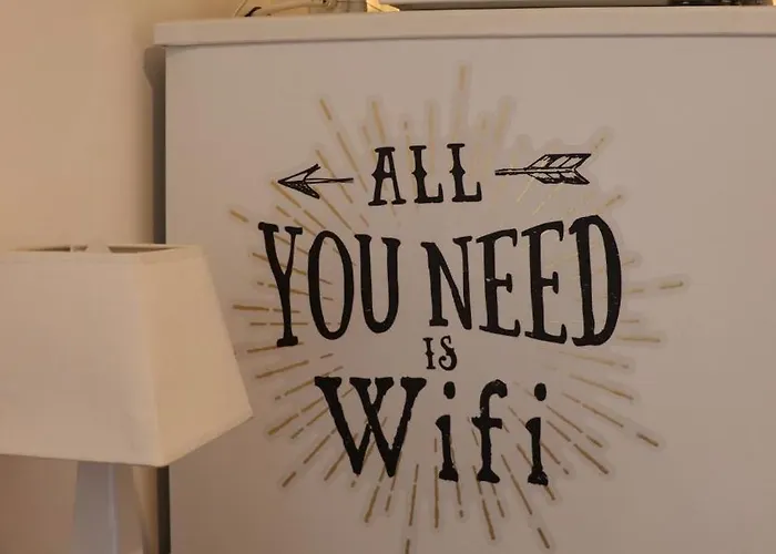 Appartement Indépendant Parking Albi